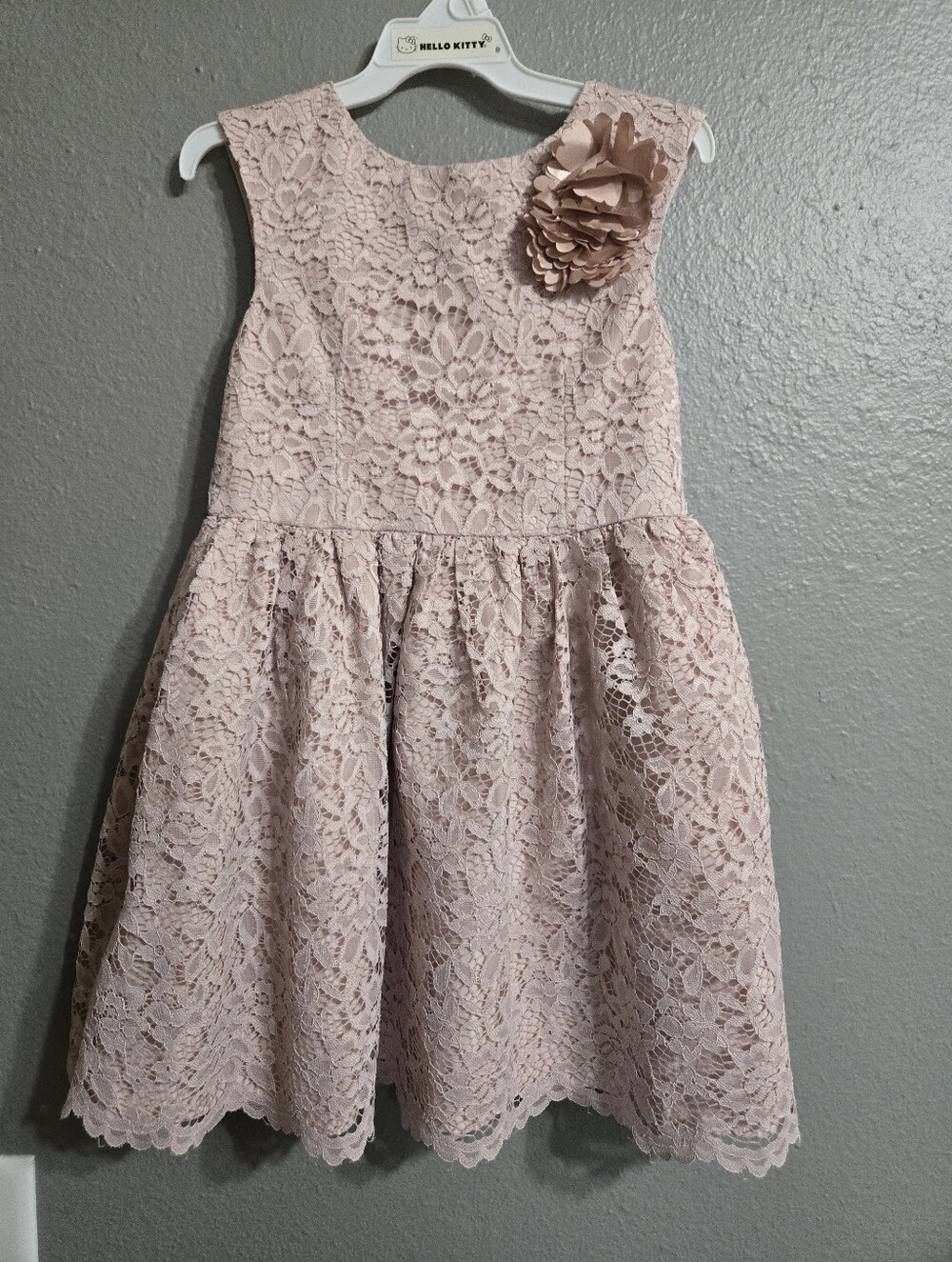 Pippa & Julie Dusty Pink Lace Flower-Accent Formal Dress Size 4T
